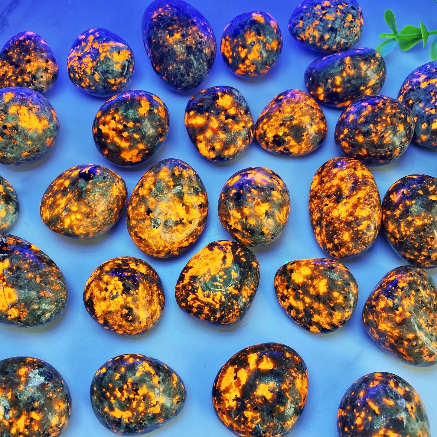 Pierres Yooperlite Naturelles – Mystère & Énergie Lumineuse