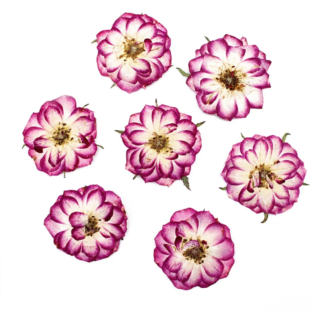 Fleurs Séchées Naturelles – Idéal pour Bougies Parfumées & DIY