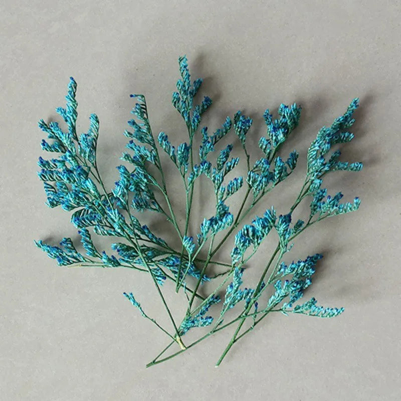 Fleurs Séchées Naturelles – Idéal pour Bougies Parfumées & DIY