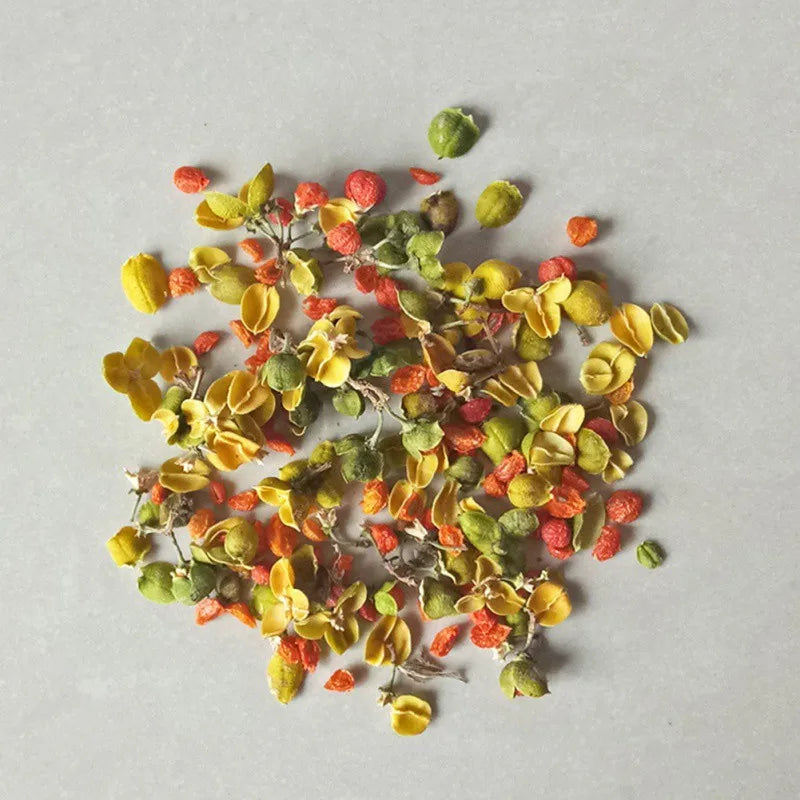 Fleurs Séchées Naturelles – Idéal pour Bougies Parfumées & DIY