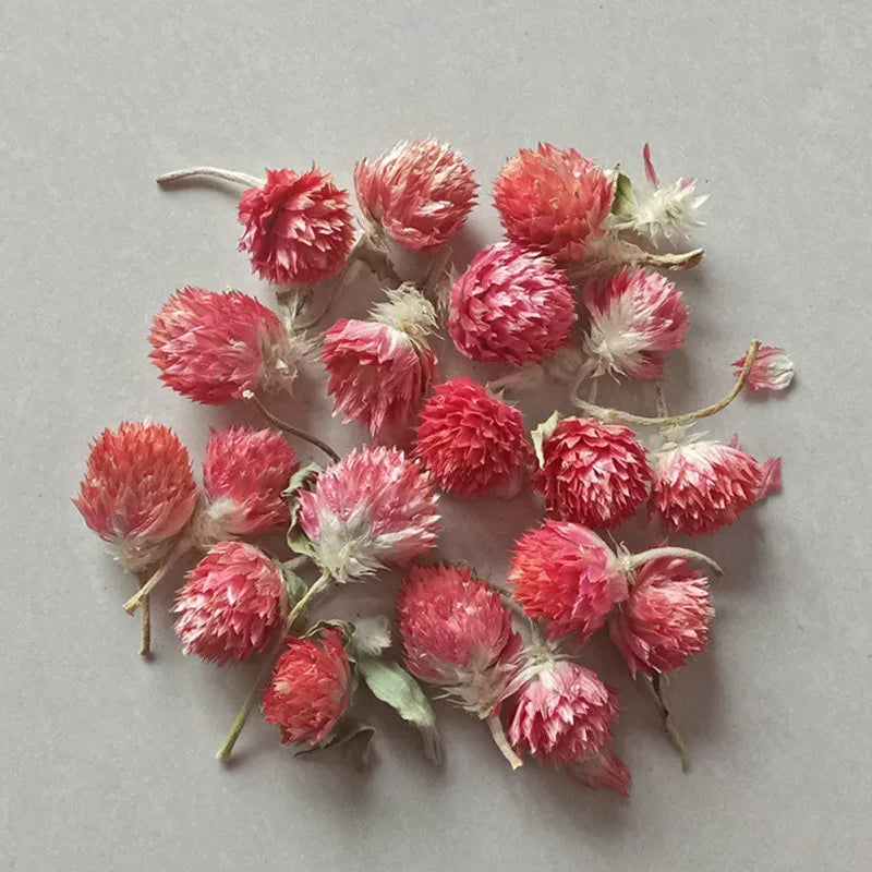 Fleurs Séchées Naturelles – Idéal pour Bougies Parfumées & DIY