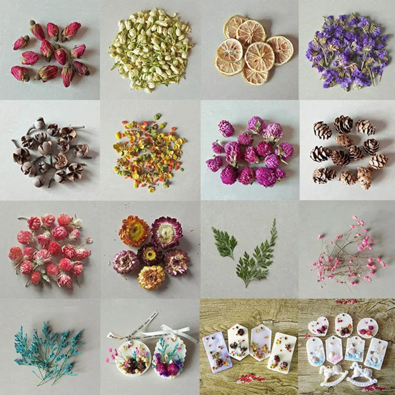 Fleurs Séchées Naturelles – Idéal pour Bougies Parfumées & DIY