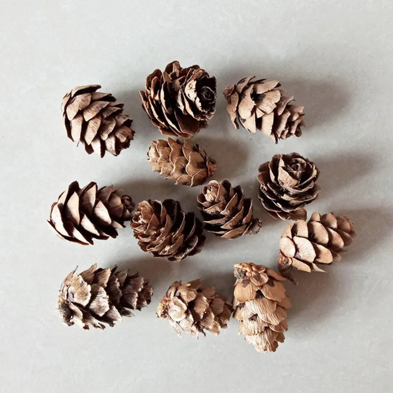Fleurs Séchées Naturelles – Idéal pour Bougies Parfumées & DIY