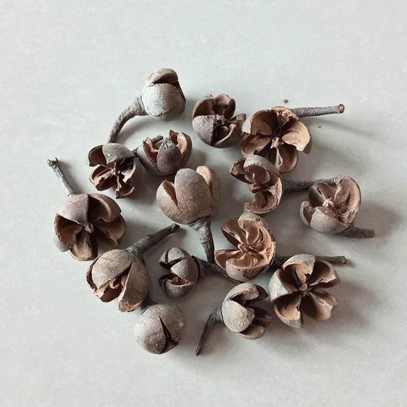Fleurs Séchées Naturelles – Idéal pour Bougies Parfumées & DIY
