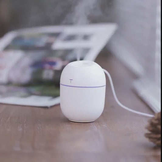 Purificateur humidificateur portable